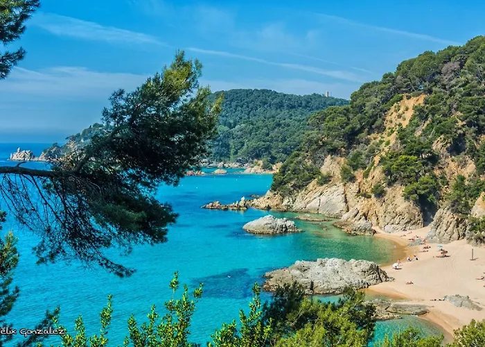 El Balcon De La Chus Διαμέρισμα Λορέτ Ντε Μαρ